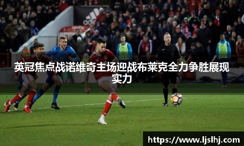 333体育官网